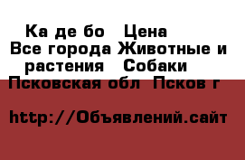 Ка де бо › Цена ­ 25 - Все города Животные и растения » Собаки   . Псковская обл.,Псков г.